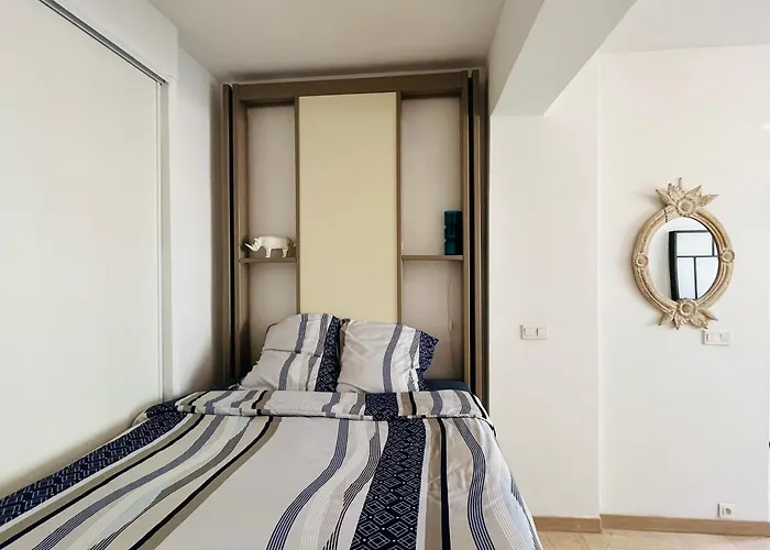 Grand Studio De 30 M2 Promenade Des Anglais