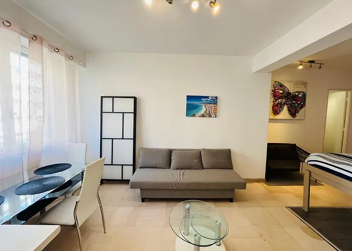 Grand Studio De 30 M2 Promenade Des Anglais