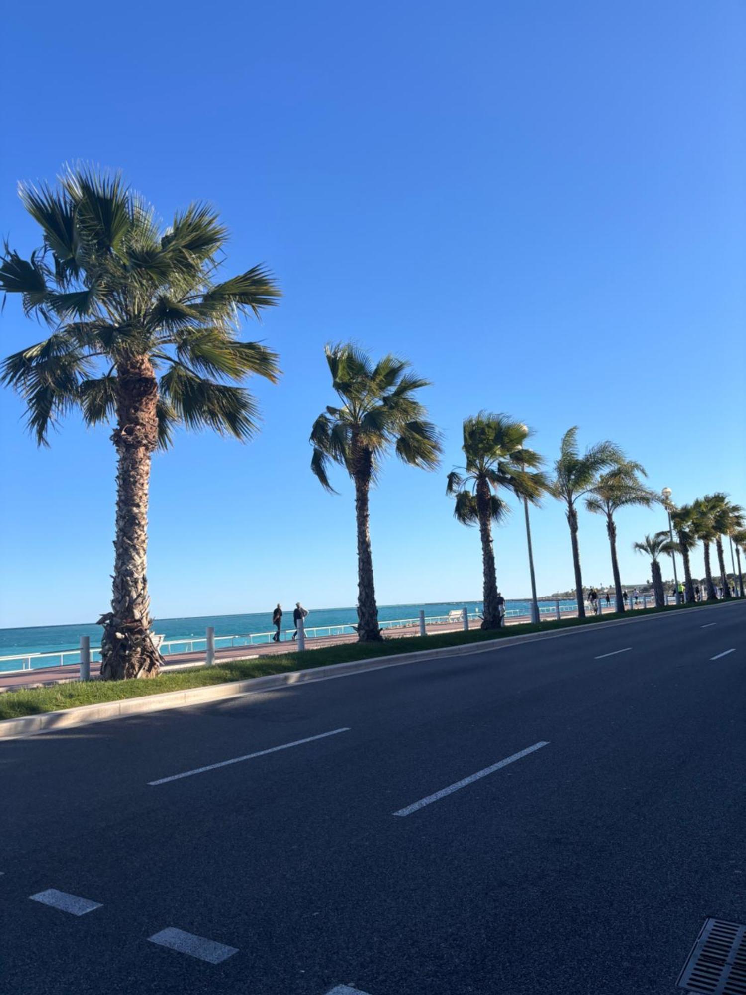 Grand De 30 M2 Promenade Des Apartment