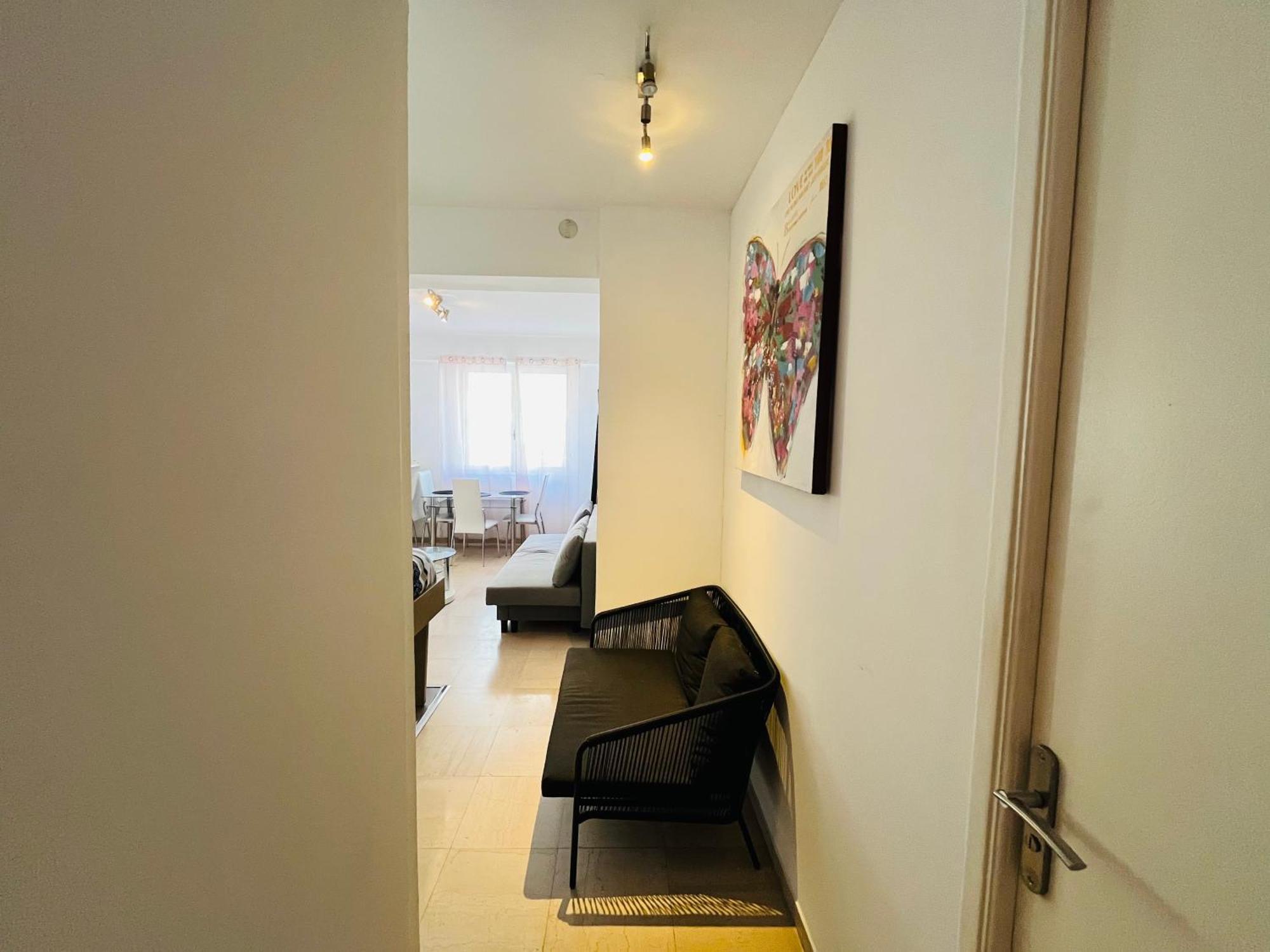 Appartement Grand De 30 M2 Promenade Des