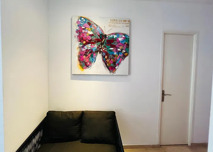 Grand Studio De 30 M2 Promenade Des Anglais